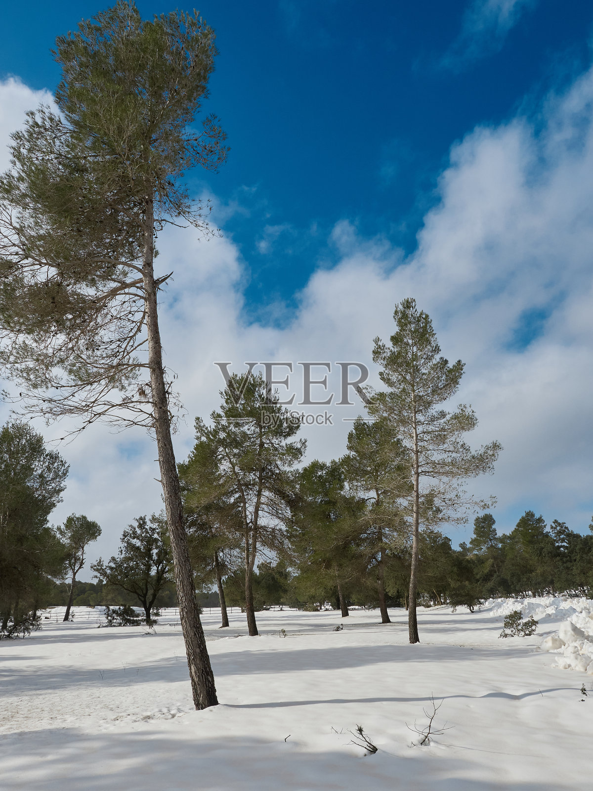 的字段。照片摄影图片