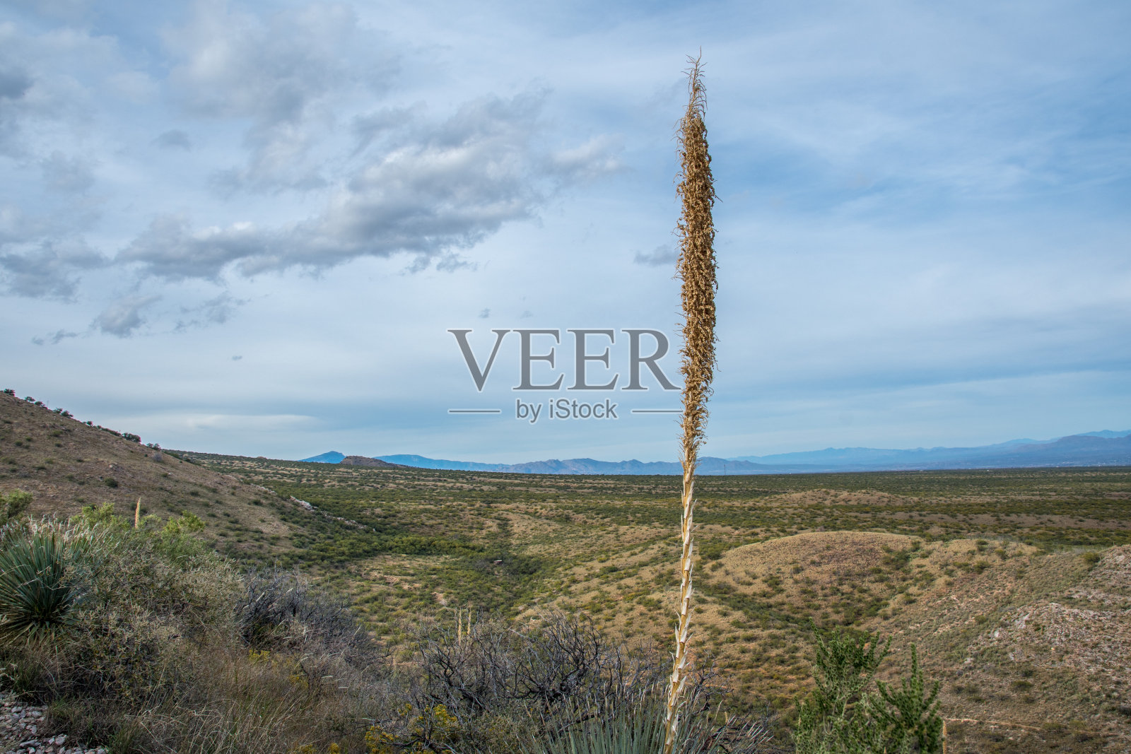 亚利桑那州卡奇纳洞穴的俯瞰视图照片摄影图片