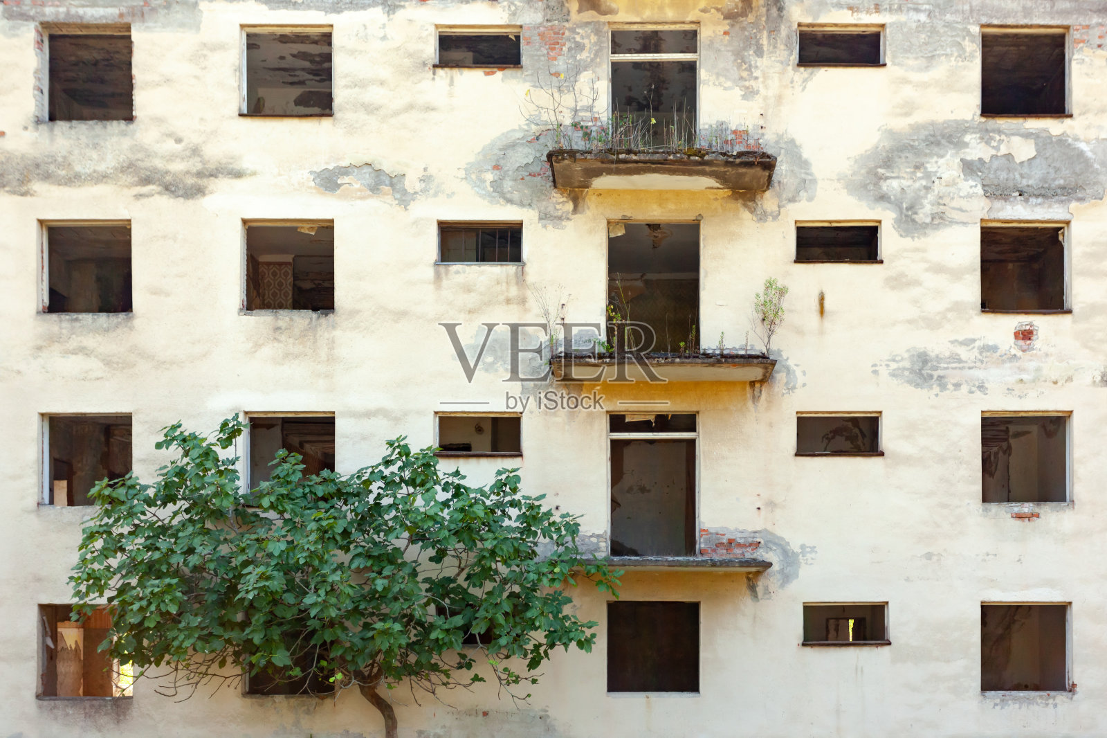 没有门窗的旧建筑的正面照片摄影图片