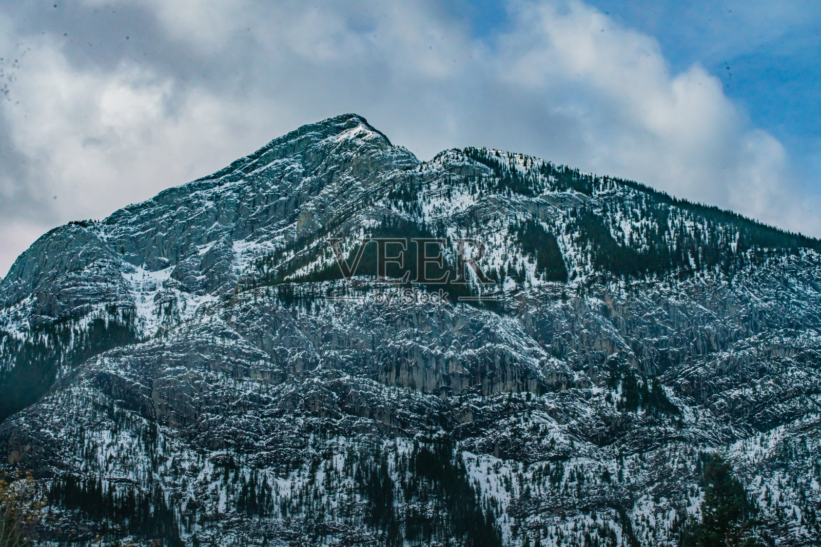 山景-近距离的山与树和雪照片摄影图片
