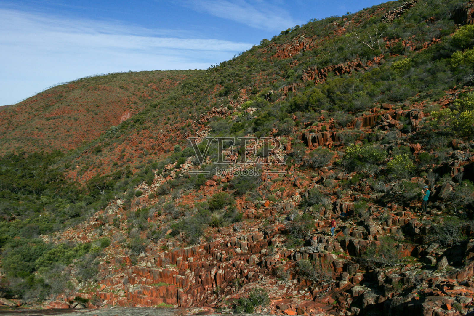 高勒山脉国家公园，管风琴管岩层，南澳大利亚照片摄影图片