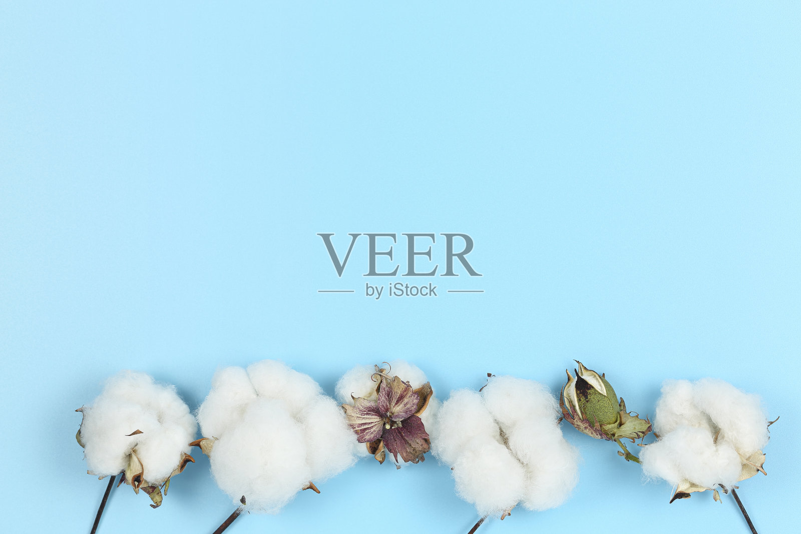 蓝色的棉球照片摄影图片