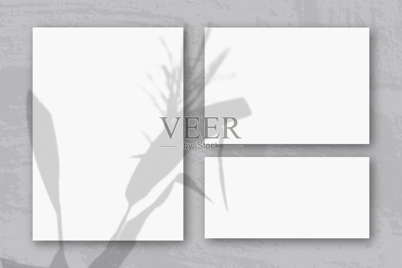 几张水平和垂直的白色纹理纸映衬着灰色的墙壁背景。自然光从植物的小穗和叶子上投射阴影插画图片素材