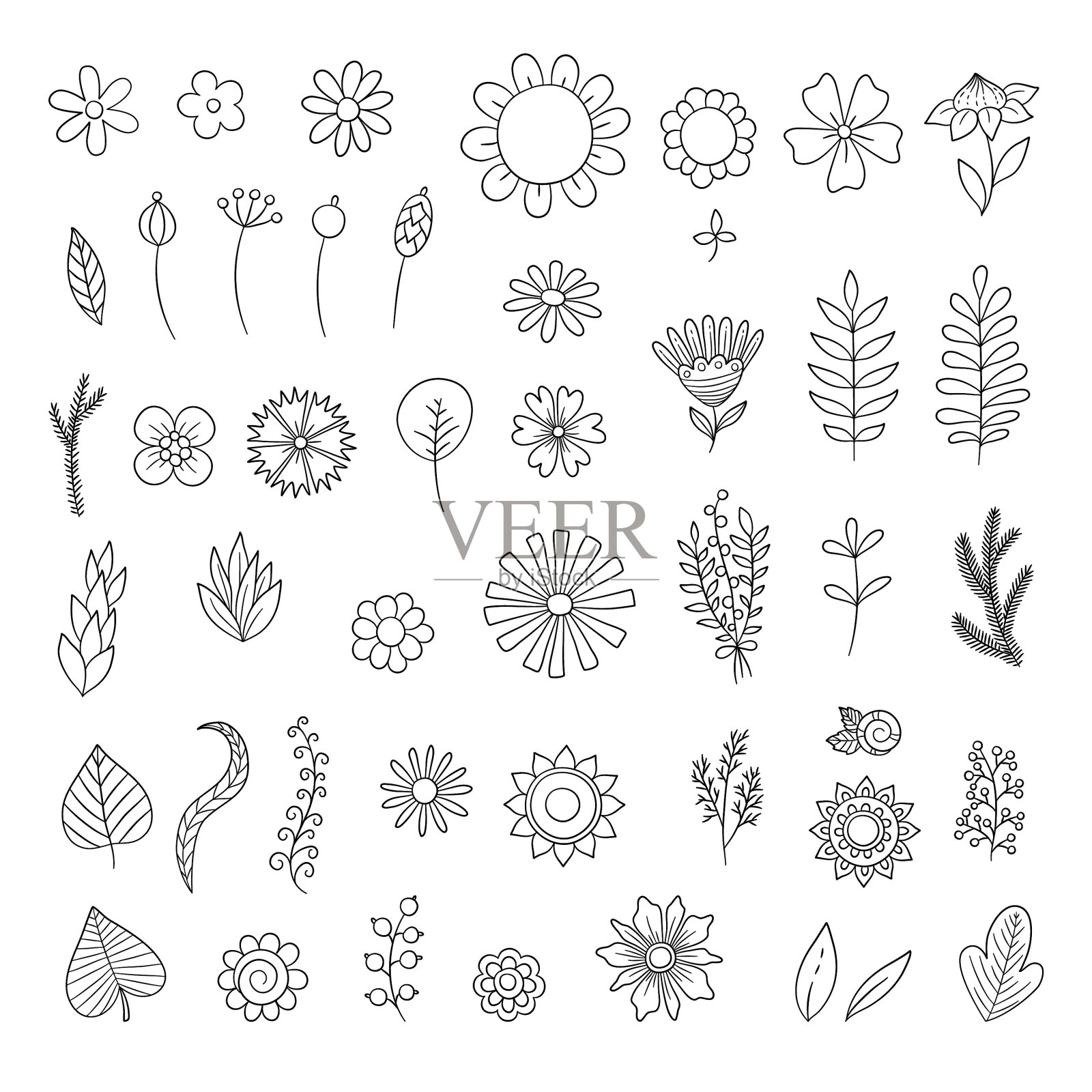 花卉涂鸦简单的花卉植物收集插画图片素材