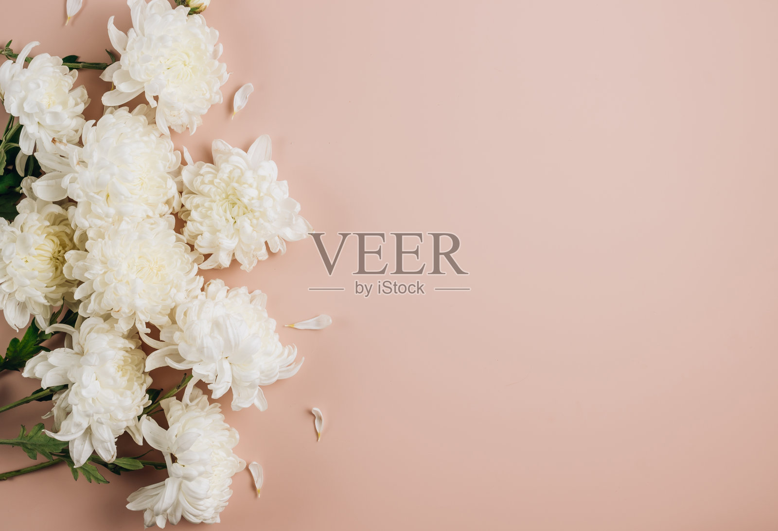 花图案与白色的花在米色的背景。照片摄影图片