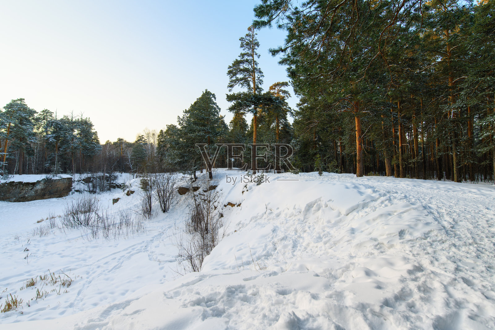 冬日日落时的森林景观。雪地上有很多脚印。白雪覆盖的采石场照片摄影图片