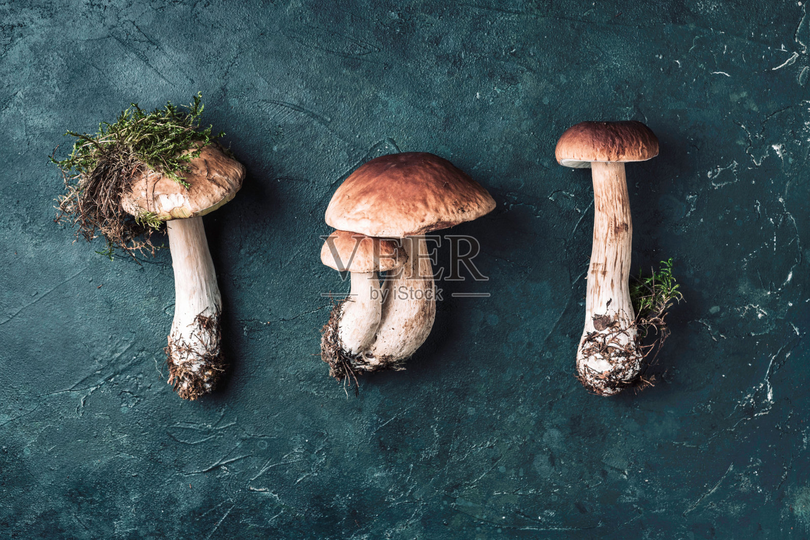 有机森林食品，可食用新鲜采摘的牛肝菌。秋收的概念。牛肝菌edulis蘑菇在黑暗的背景。副本的空间。前视图。照片摄影图片