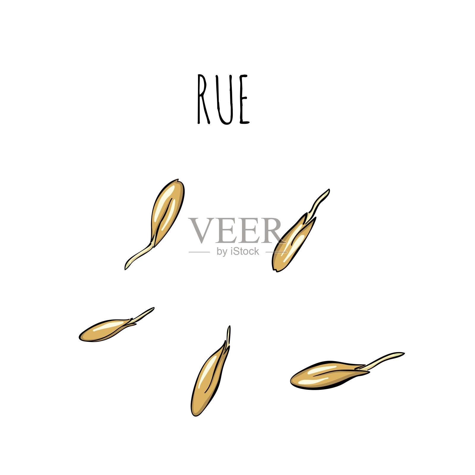 种子栽培set - vector插图。微绿色素描和写意风格。街芽，餐厅，咖啡厅和厨房的健康健康的素食食品插画图片素材