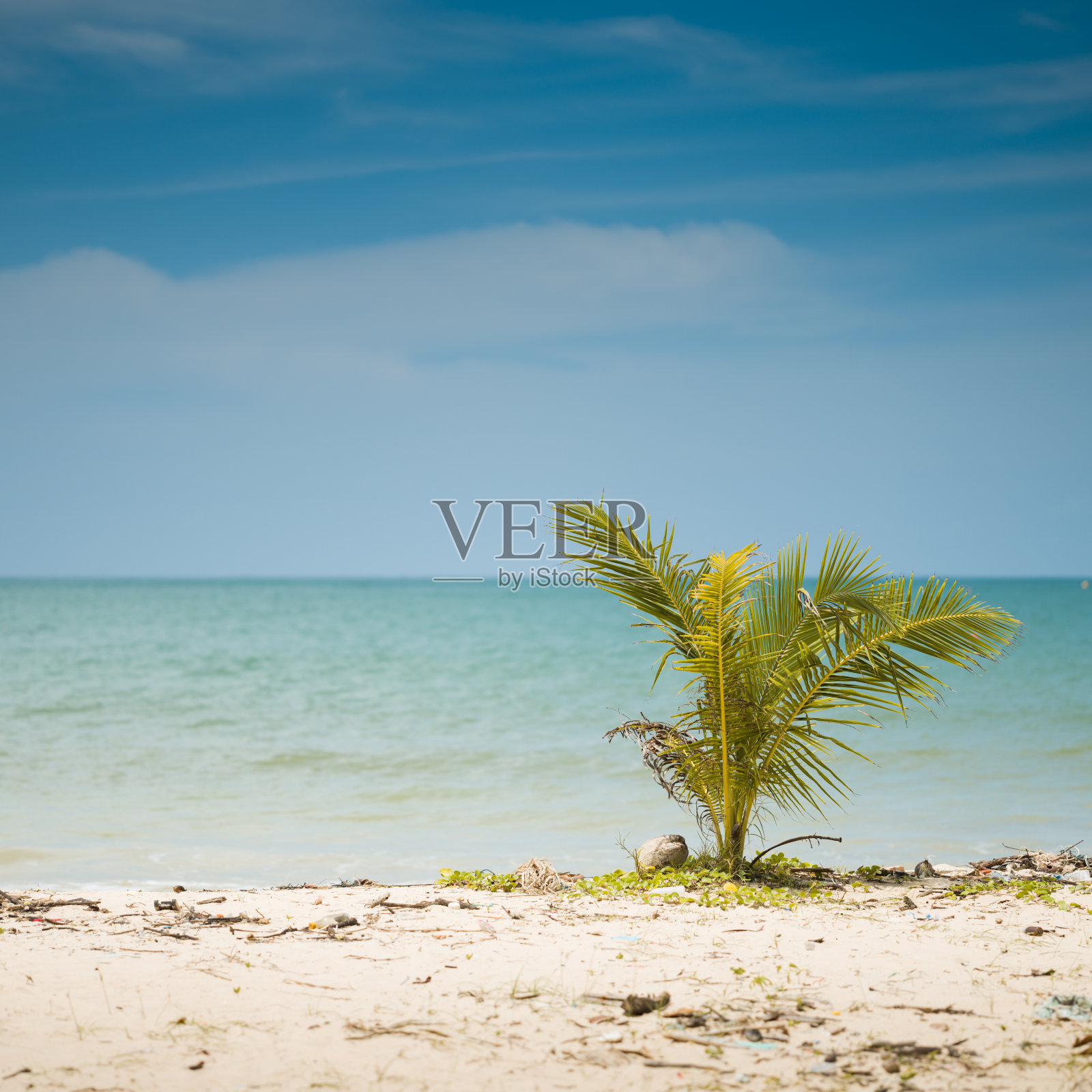 泰国普吉岛海滩。照片摄影图片