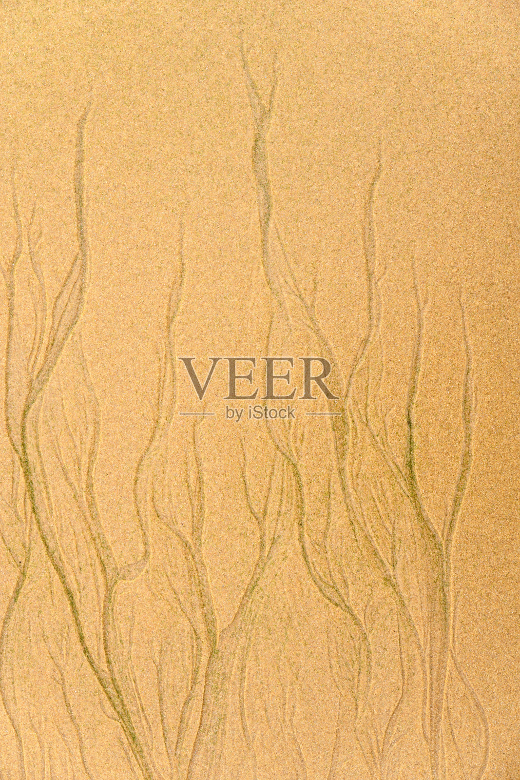 大西洋海滩上沙子的质地。照片摄影图片