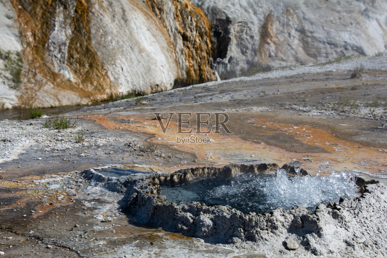 中国的春天照片摄影图片