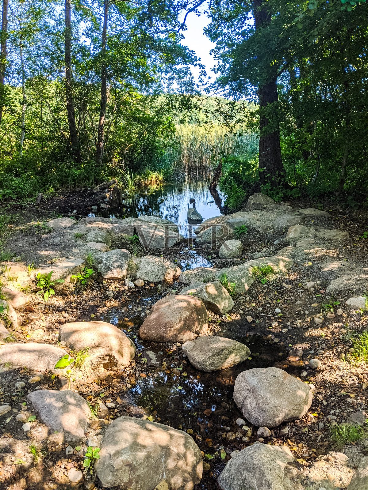 一条小溪从湖中流出，移动拍照照片摄影图片