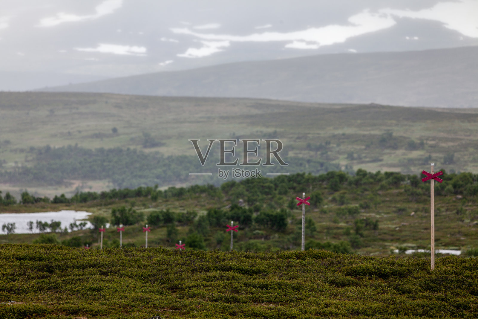 瑞典山区Härjedalen的经典冬季步道标志。照片摄影图片