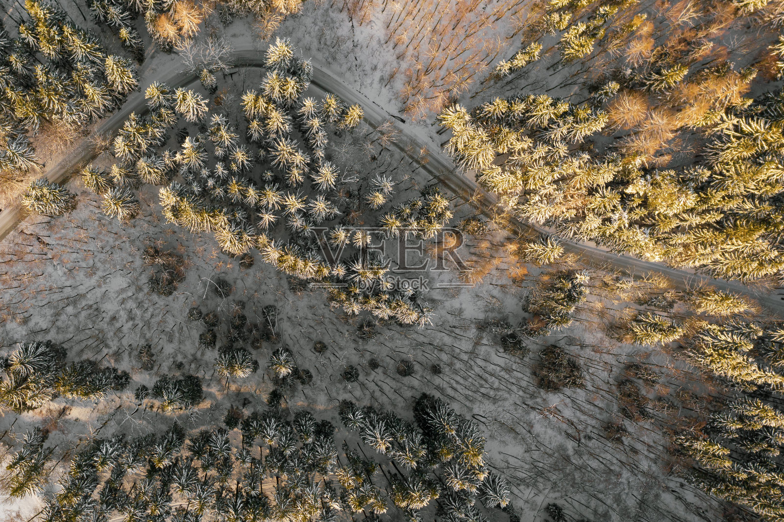 顶视图在空旷的道路上的森林在雪在冬天的阳光。照片摄影图片