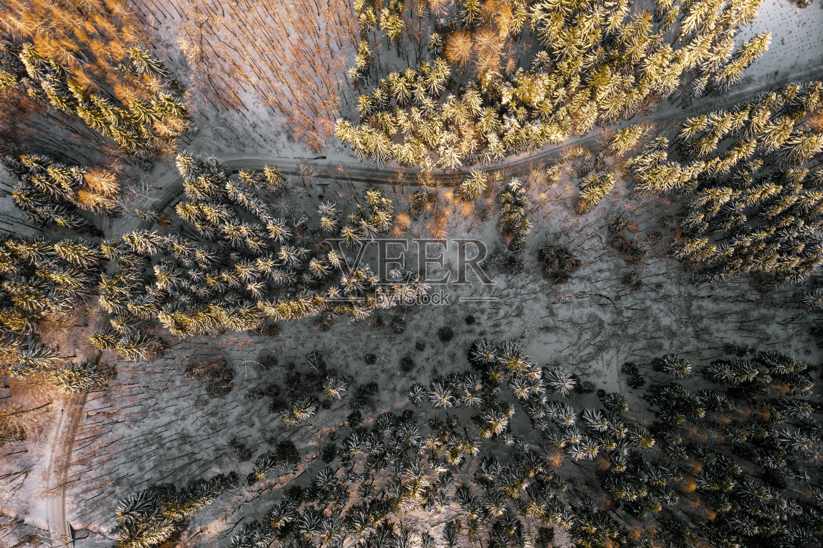 顶视图在空旷的道路上的森林在雪在冬天的阳光。照片摄影图片