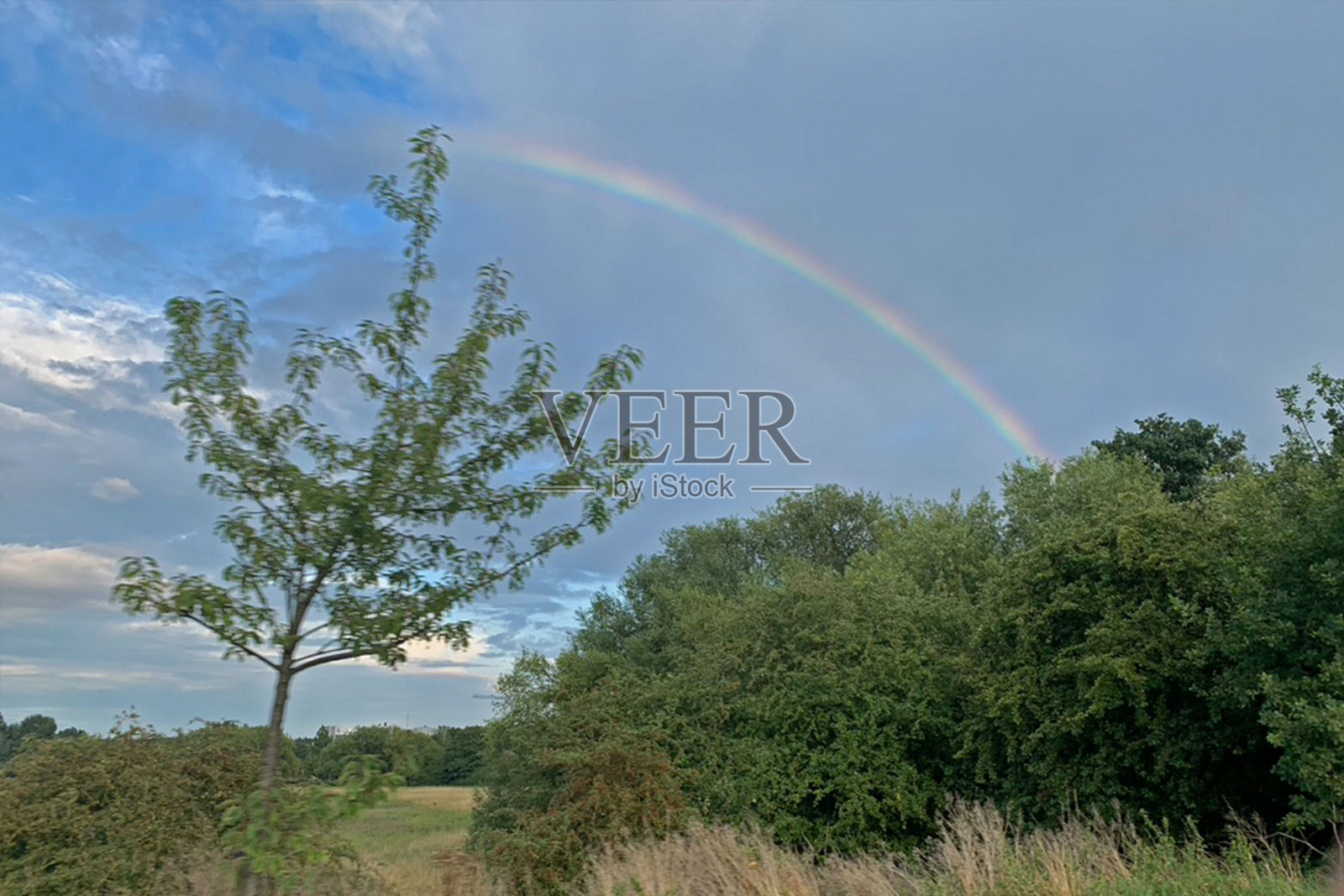草地上的彩虹照片摄影图片