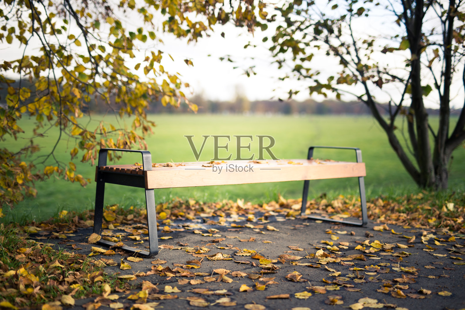 公园里的长椅，秋天照片摄影图片