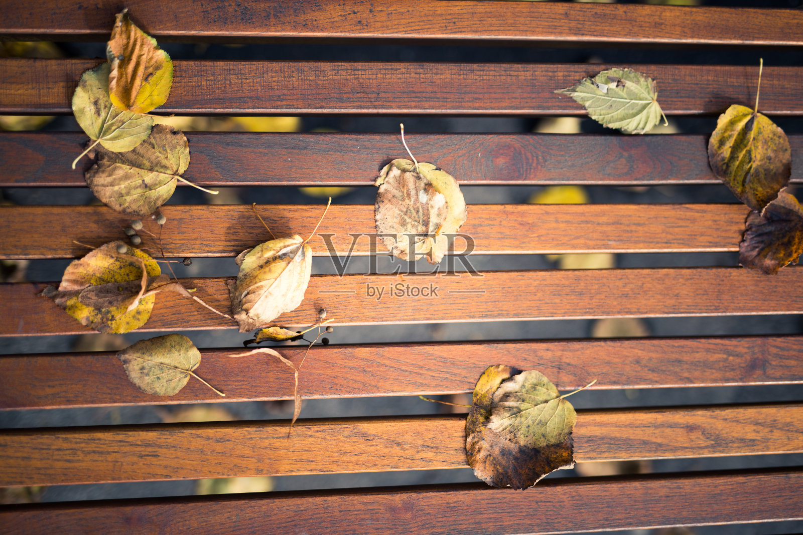 公园里的长椅，秋天照片摄影图片