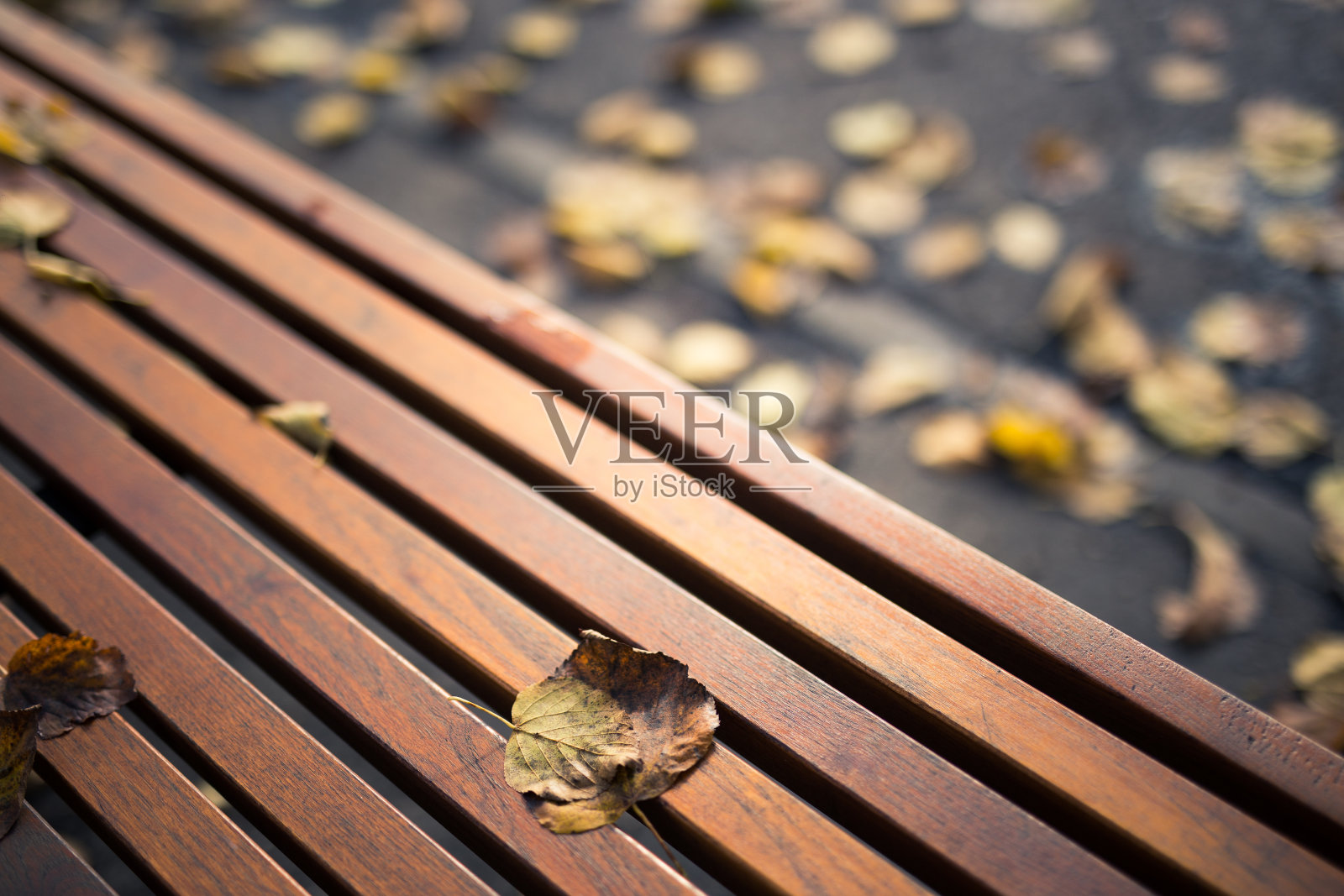 公园里的长椅，秋天照片摄影图片