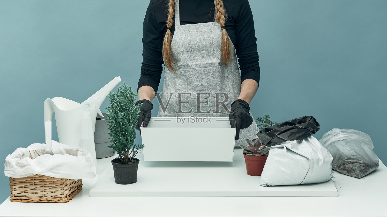 女孩在土和花盆里种室内植物和花。植物护理和保养。的爱好。照片摄影图片
