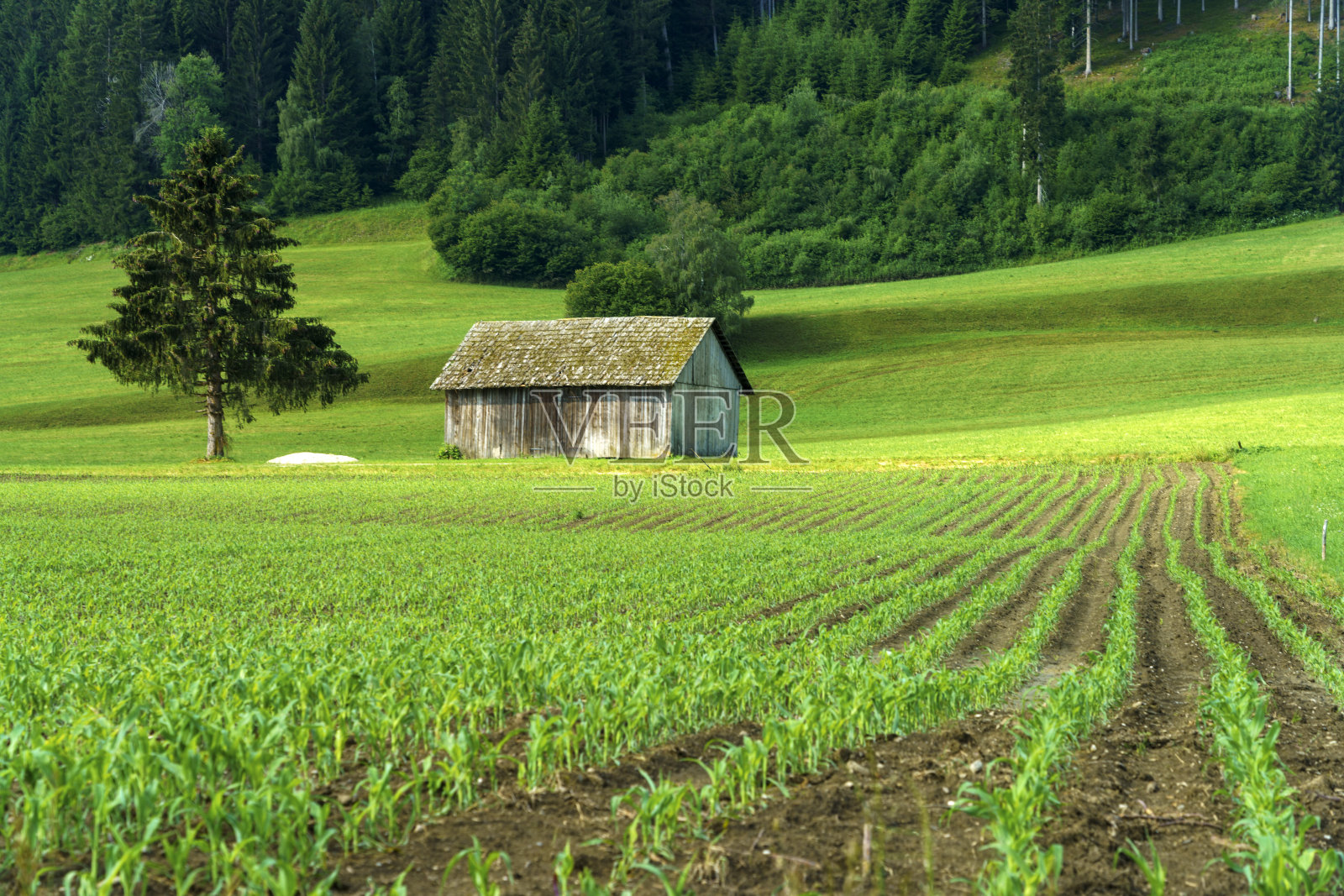 夏天的Pusteria山谷自行车道照片摄影图片