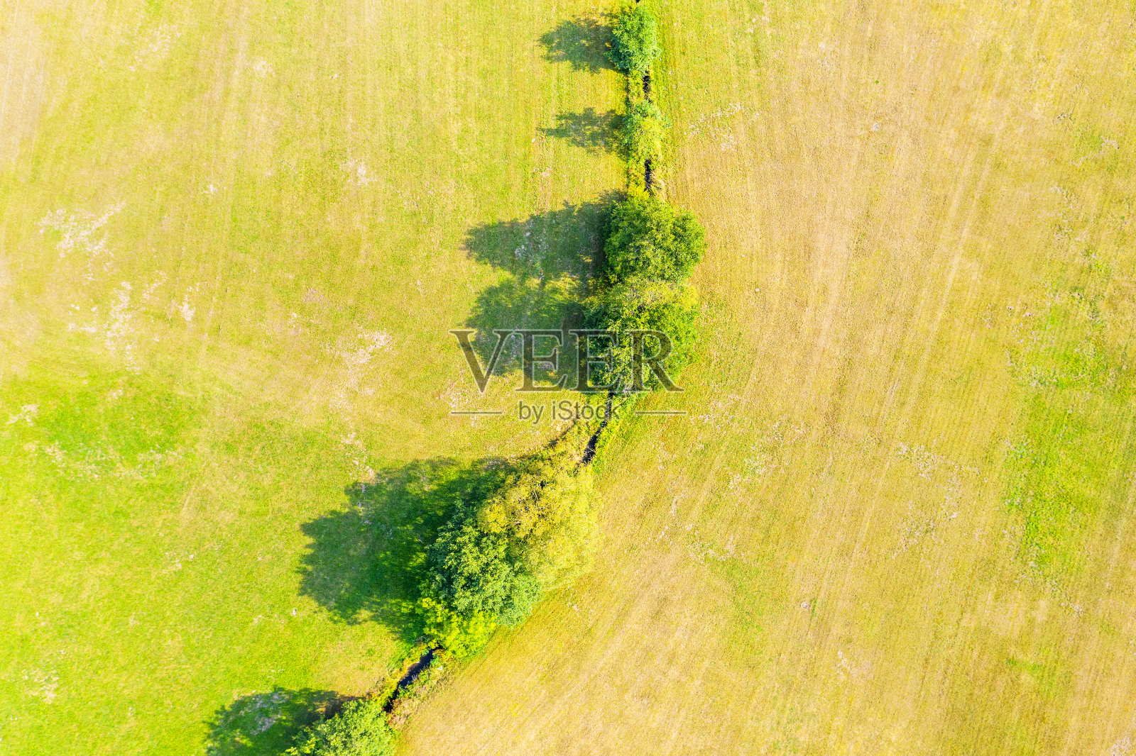 草地和一条从上往下分开的河流照片摄影图片