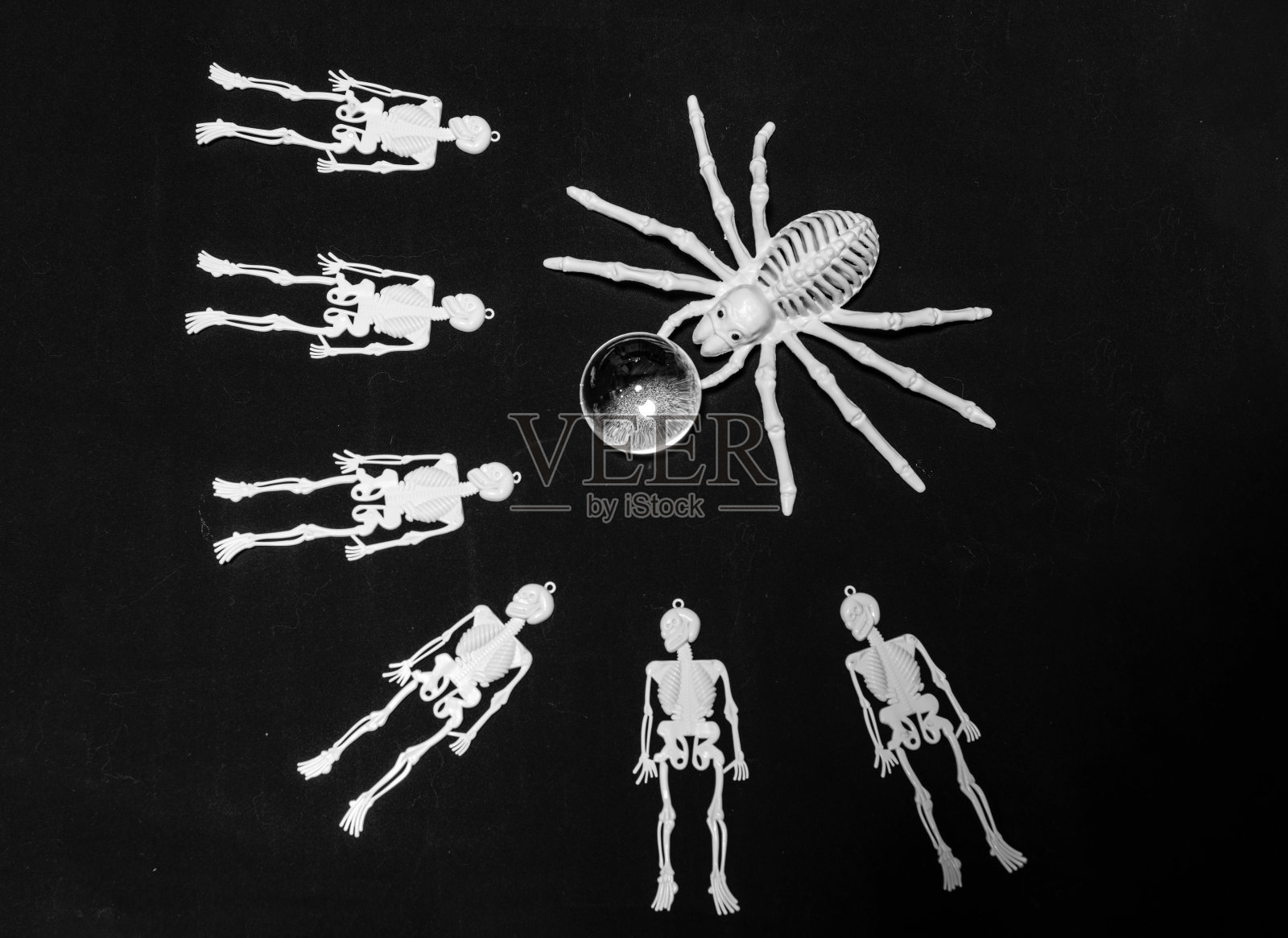 人类头骨和人骨模型作为纪念所有死者的盛宴的象征照片摄影图片