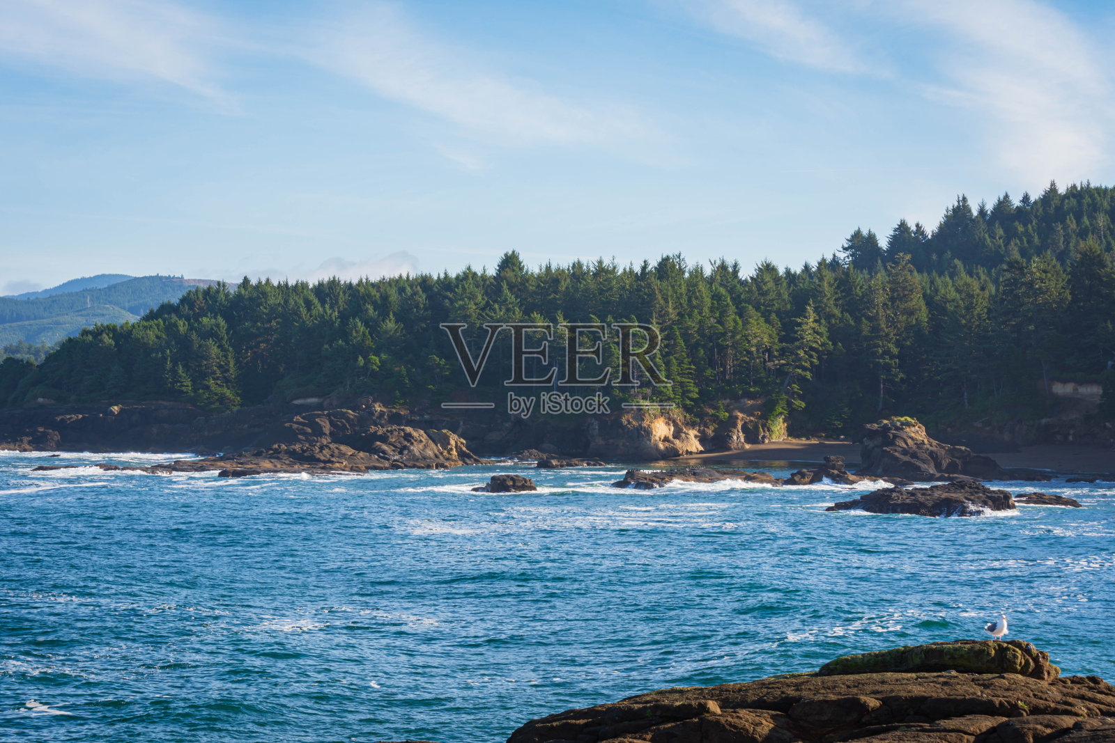 俄勒冈海岸阳光明媚的一天照片摄影图片