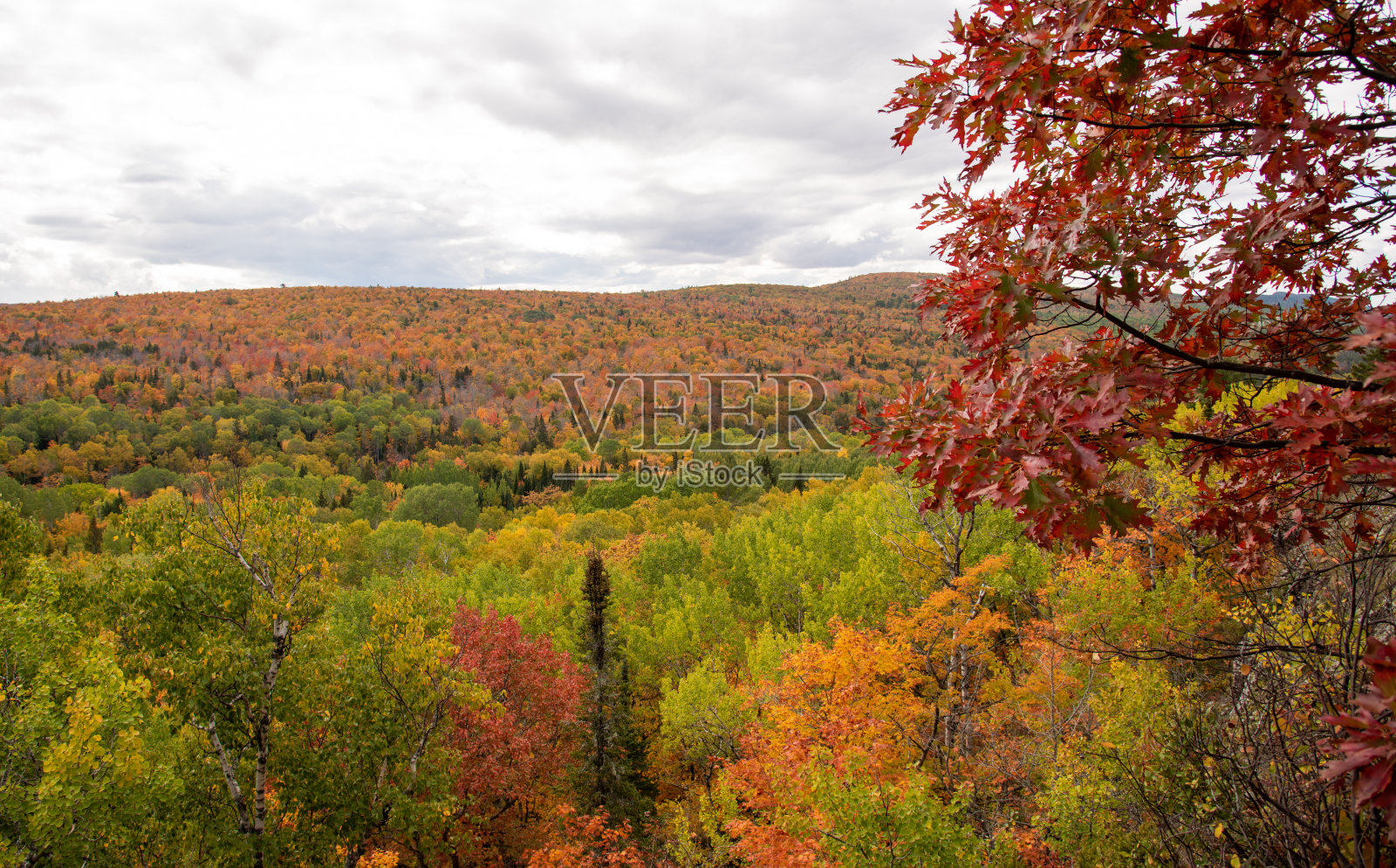 密歇根上半岛昂托纳贡县豪猪山照片摄影图片