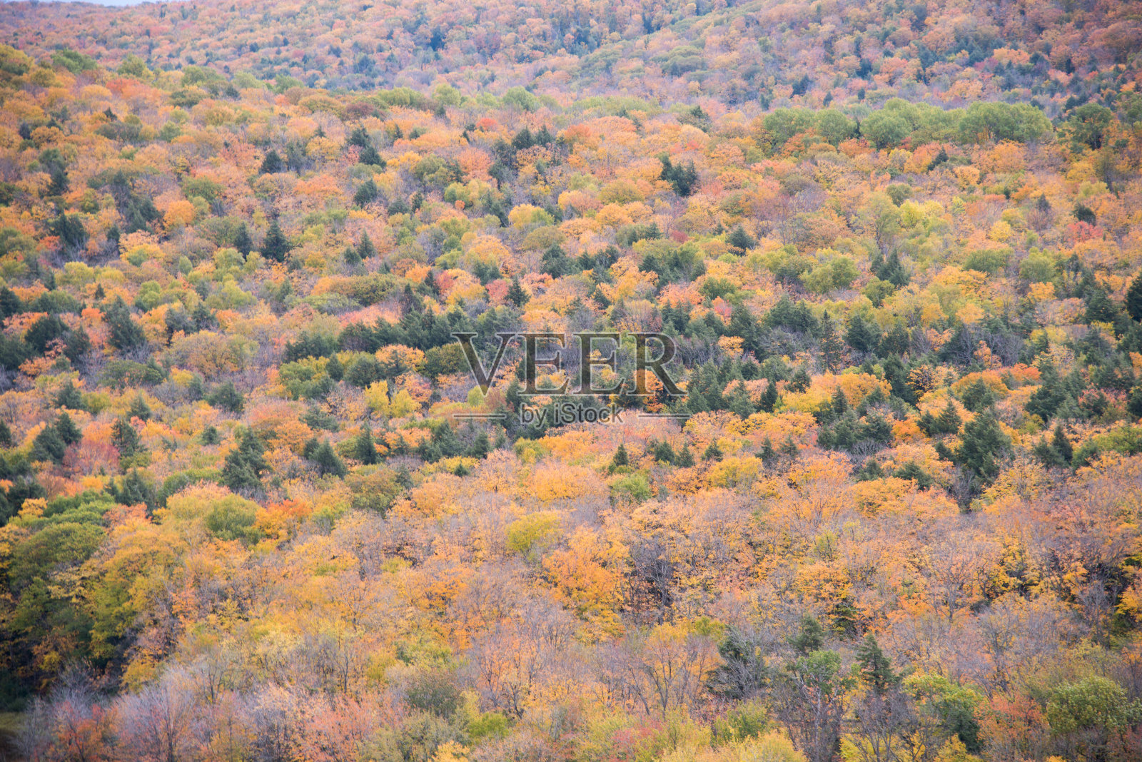 云中的湖，豪猪山，豪猪山荒野州立公园，密歇根州上半岛的Ontonagon县照片摄影图片