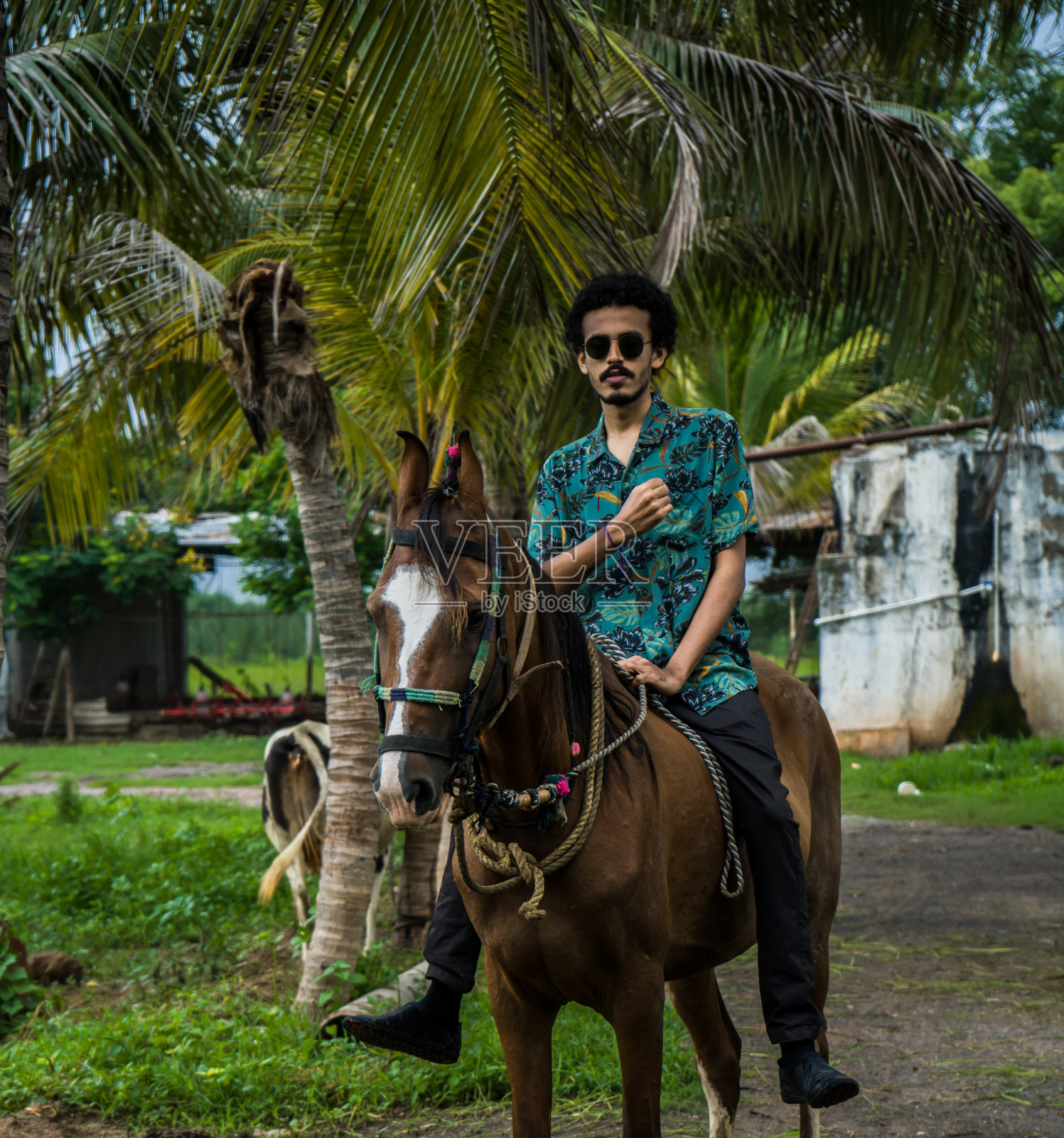 英俊的男人和棕色的马照片摄影图片