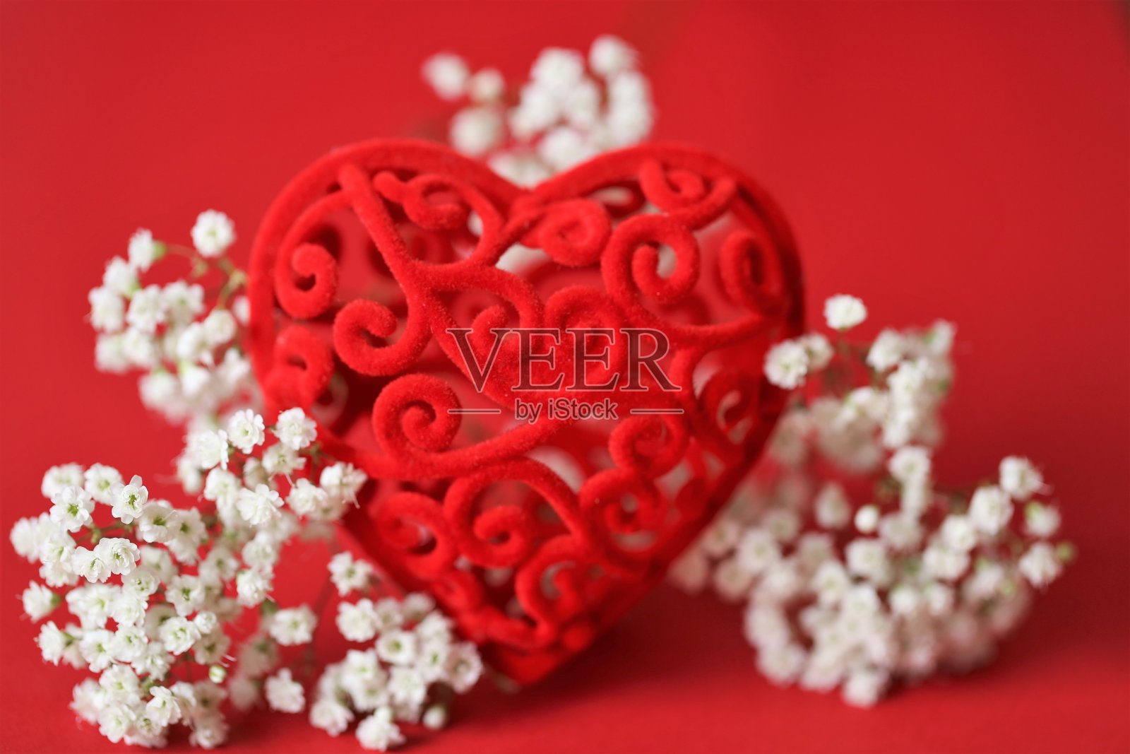 情人节贺卡。爱和感情的概念。装饰红心和白色的gypsophila在红色的背景。红心在白花中。爱的象征照片摄影图片