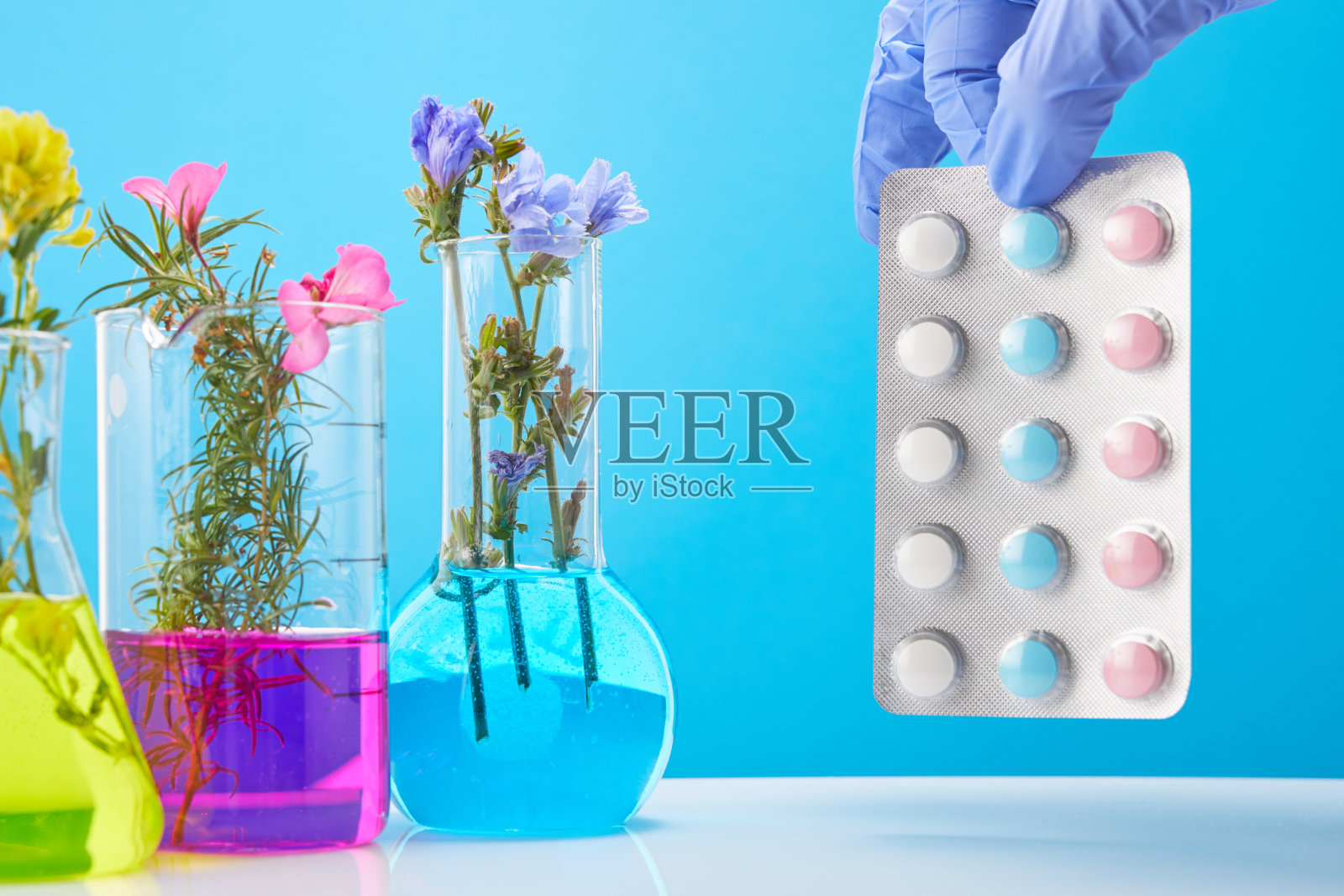 科学家的手上拿着药片。蓝色背景上有植物的试管。天然有机药物的概念及实验室研究。照片摄影图片