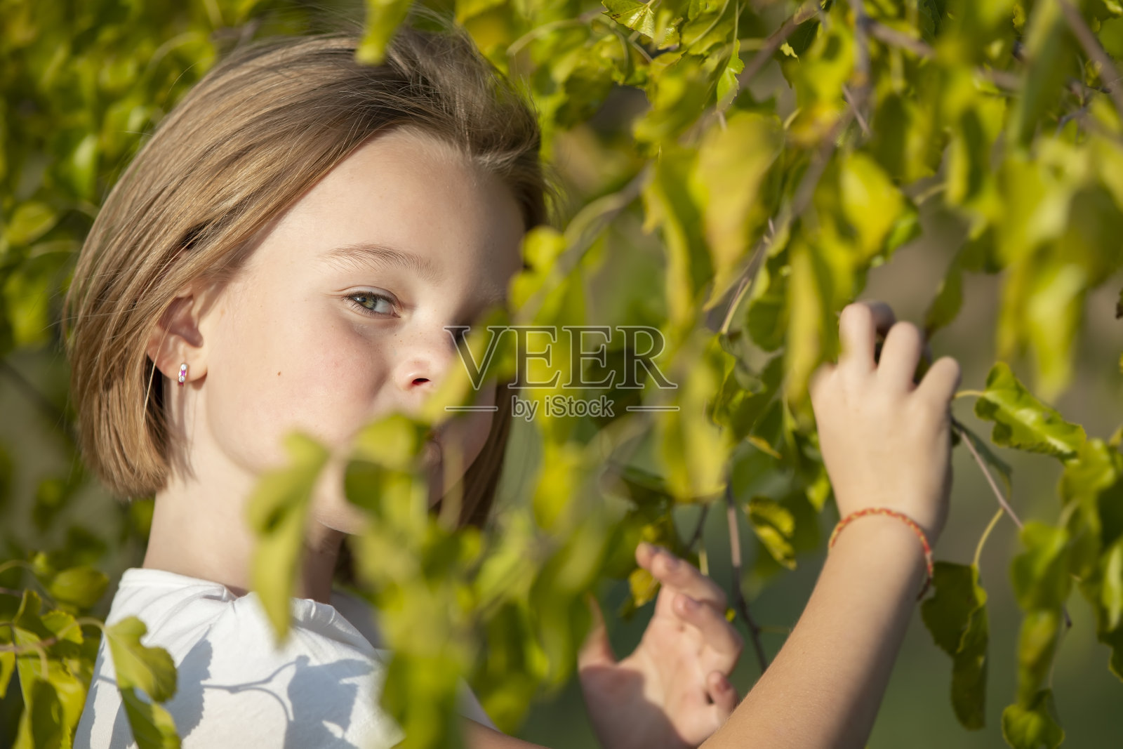 小女孩的脸从绿叶中露了出来。照片摄影图片