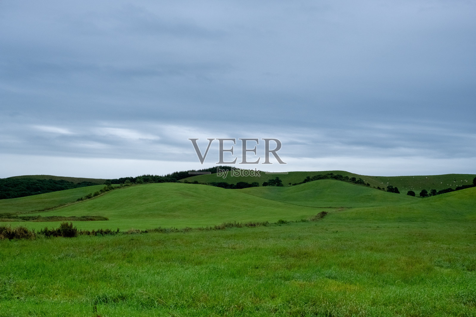 北海道多云的草地照片摄影图片