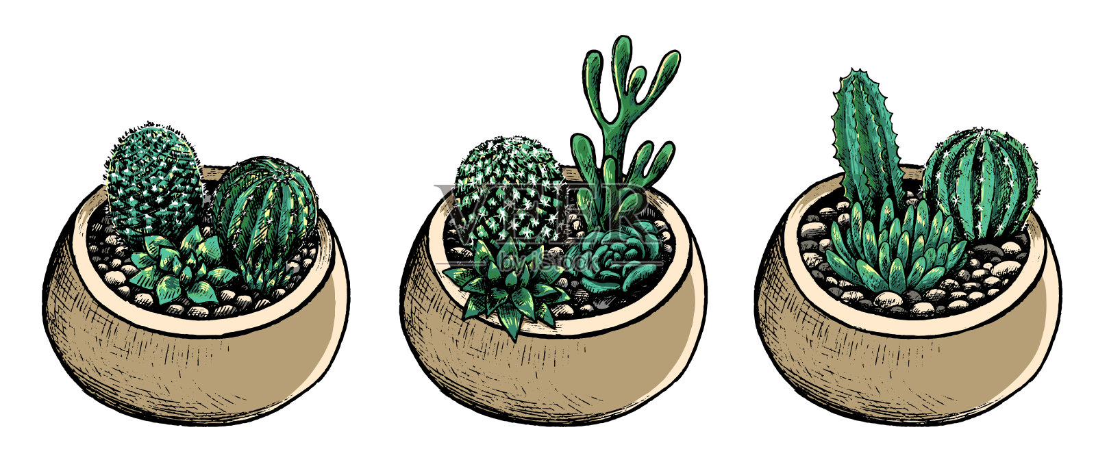 手绘矢量插图。收集盆仙人掌和多肉植物。复古植物集与室内植物在素描风格。装饰花彩色元素孤立在白色的设计。插画图片素材