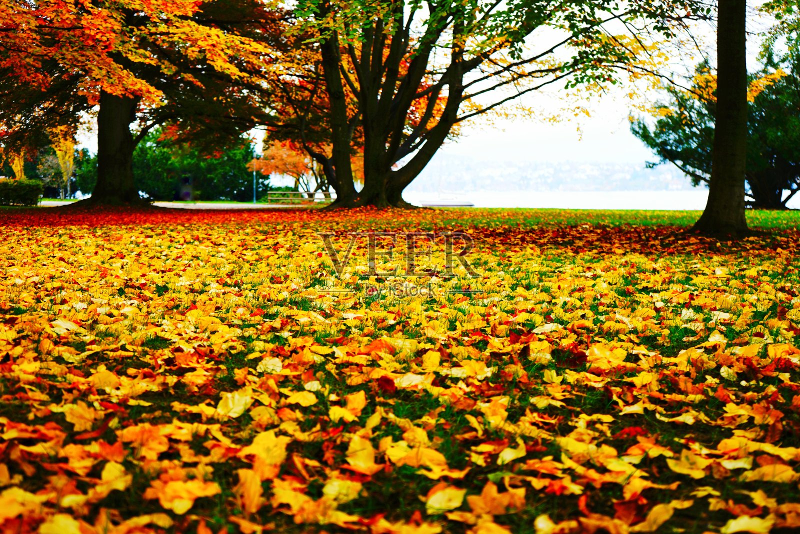 阿尔卑斯山秋季的气氛-在圣加仑莱茵河流域和瑞士的秘密首都:苏黎世之间照片摄影图片
