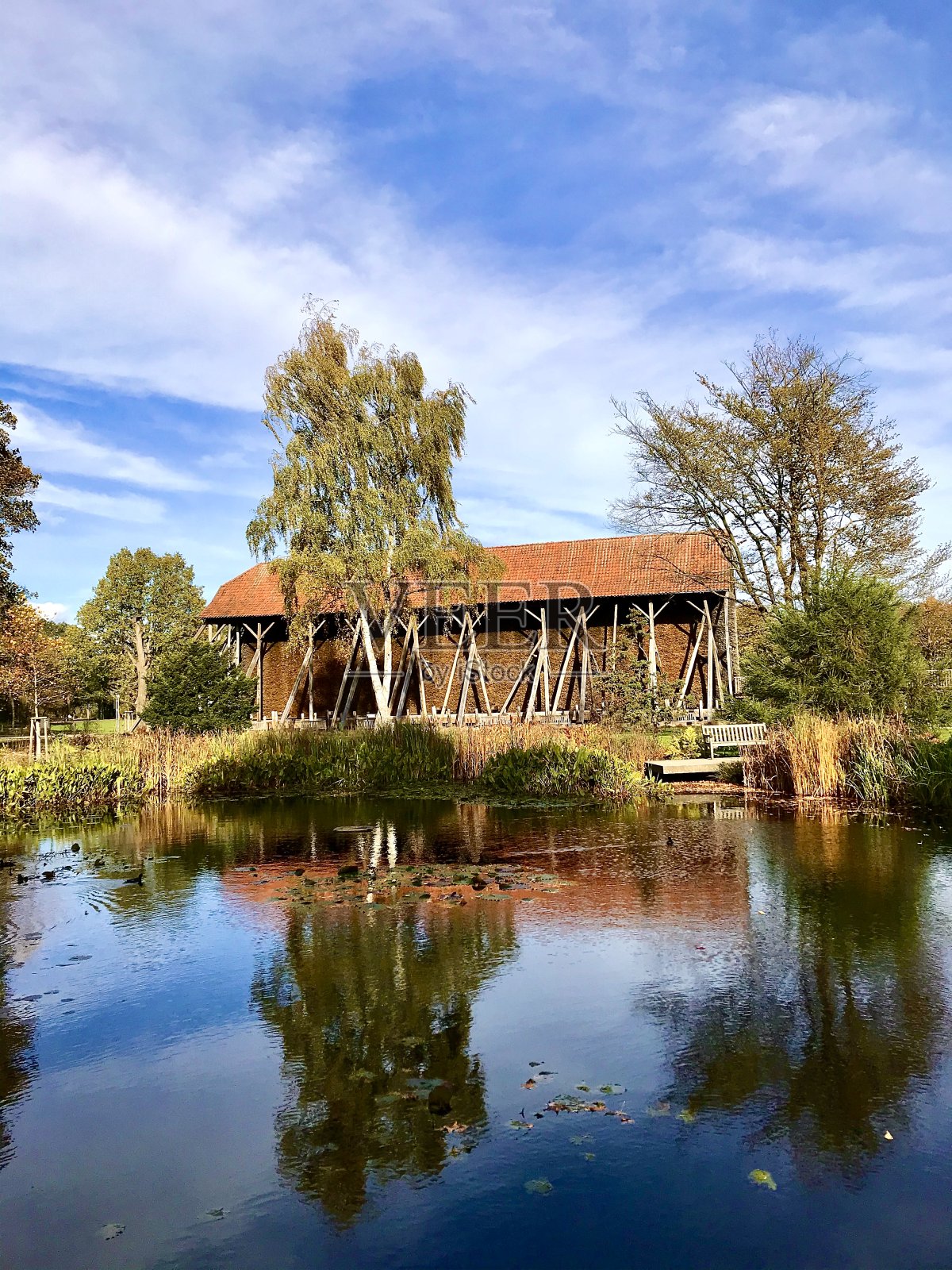 莱茵边乘雪橇做的她照片摄影图片