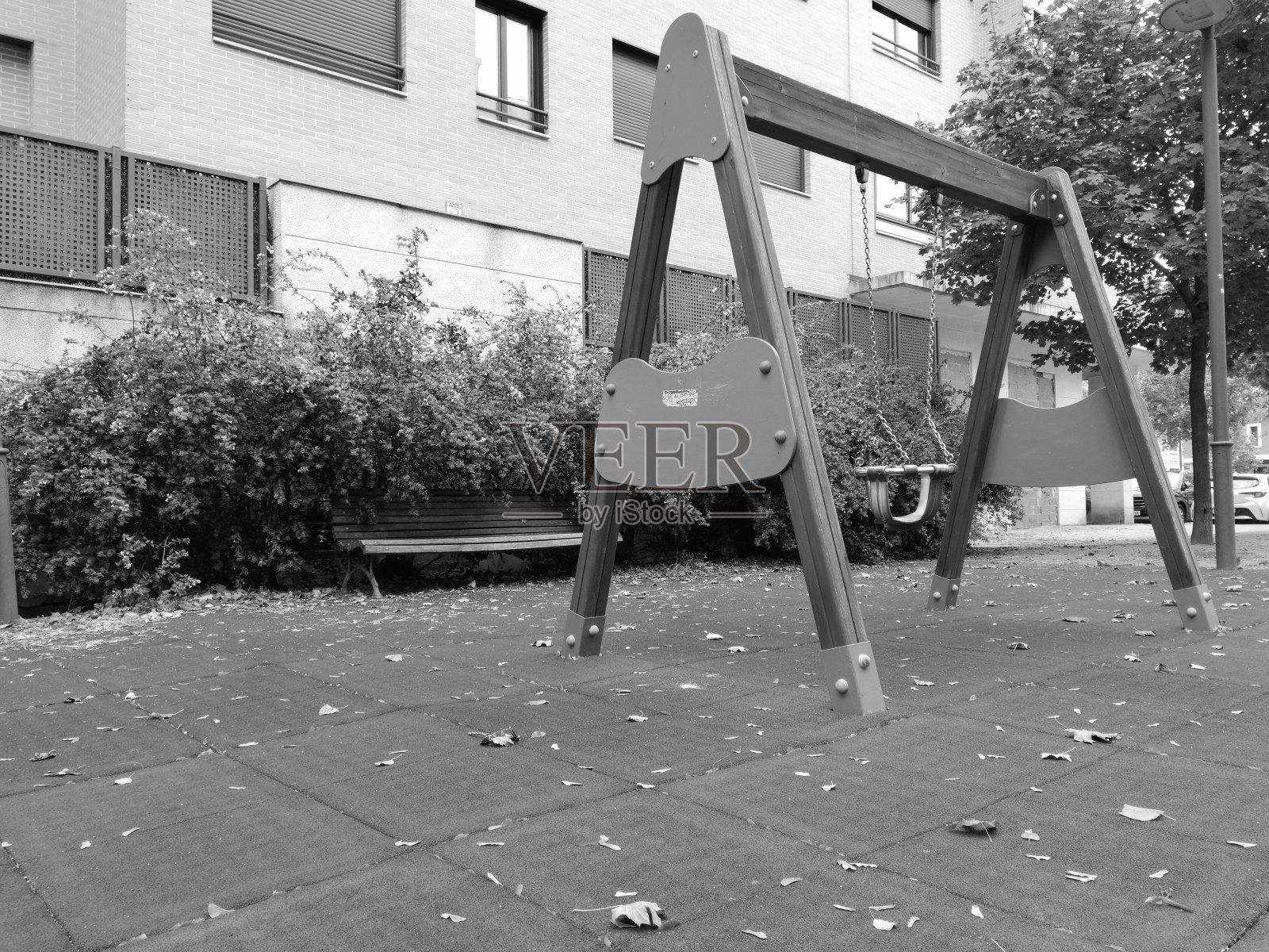 关闭公园照片摄影图片