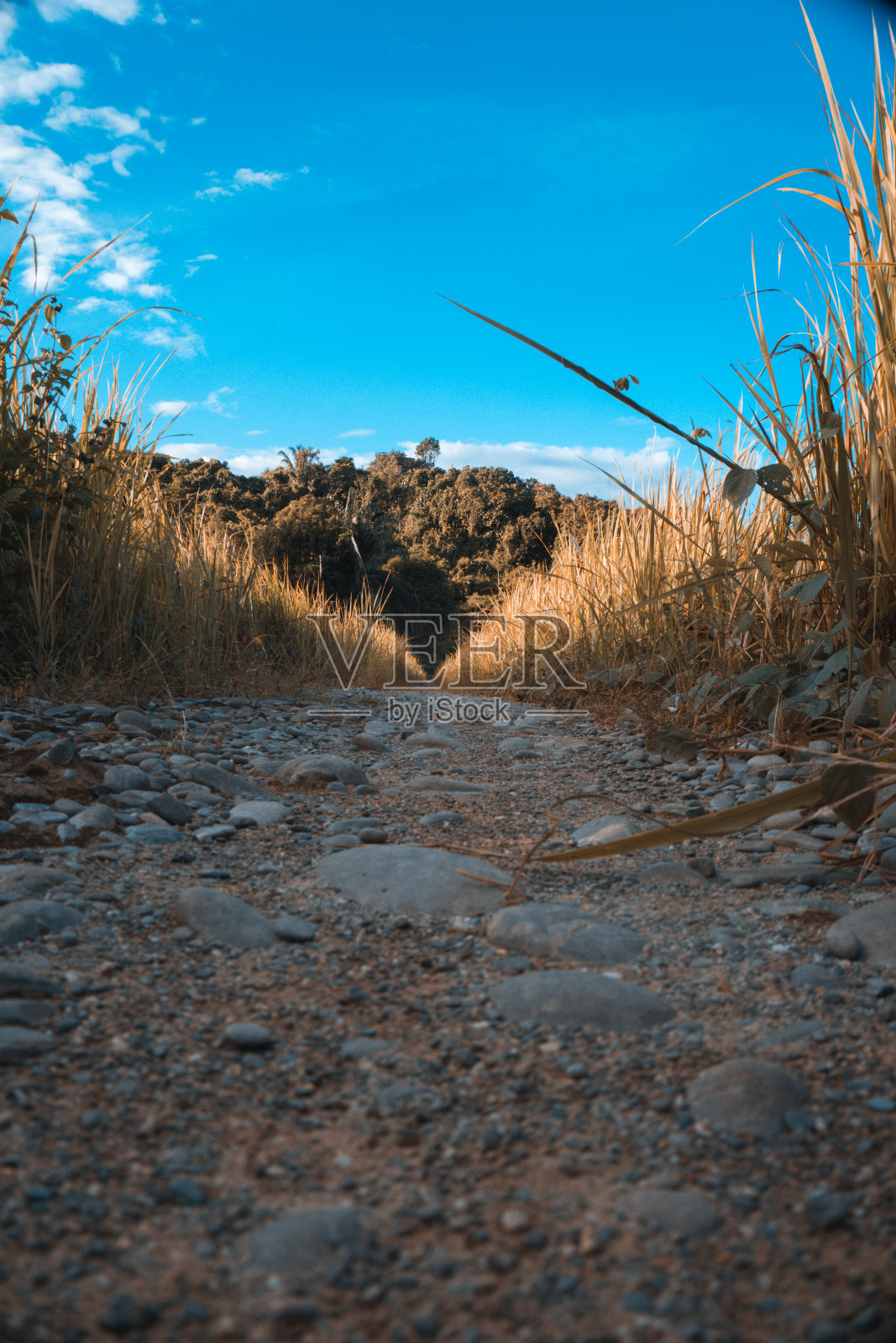 草和天空照片摄影图片