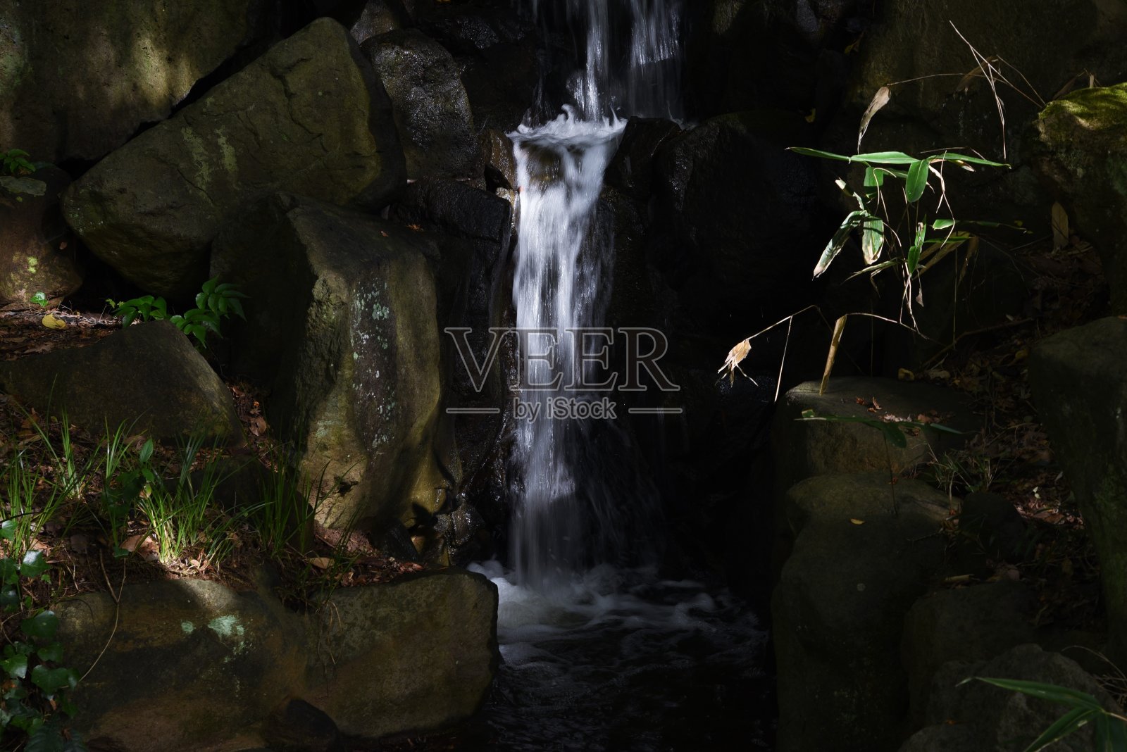 一个自然公园里的小瀑布。照片摄影图片