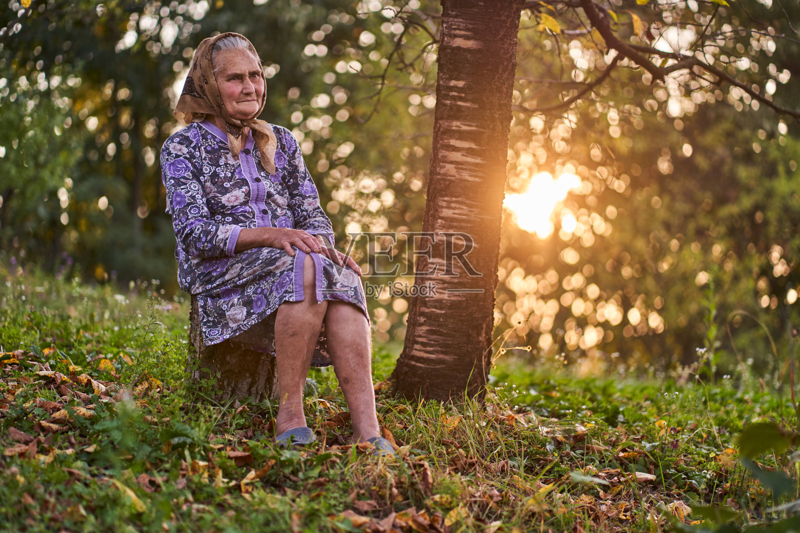 秋天的肖像在日落的一个资深农民妇女照片摄影图片