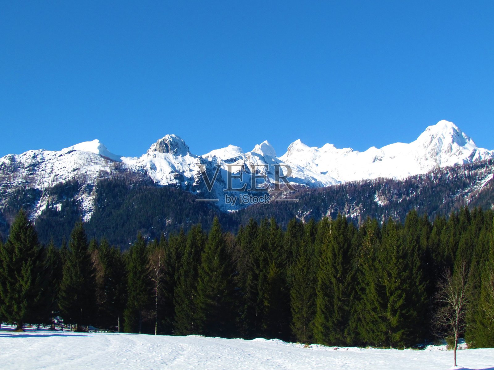 朱利安阿尔卑斯皑皑的山峰照片摄影图片