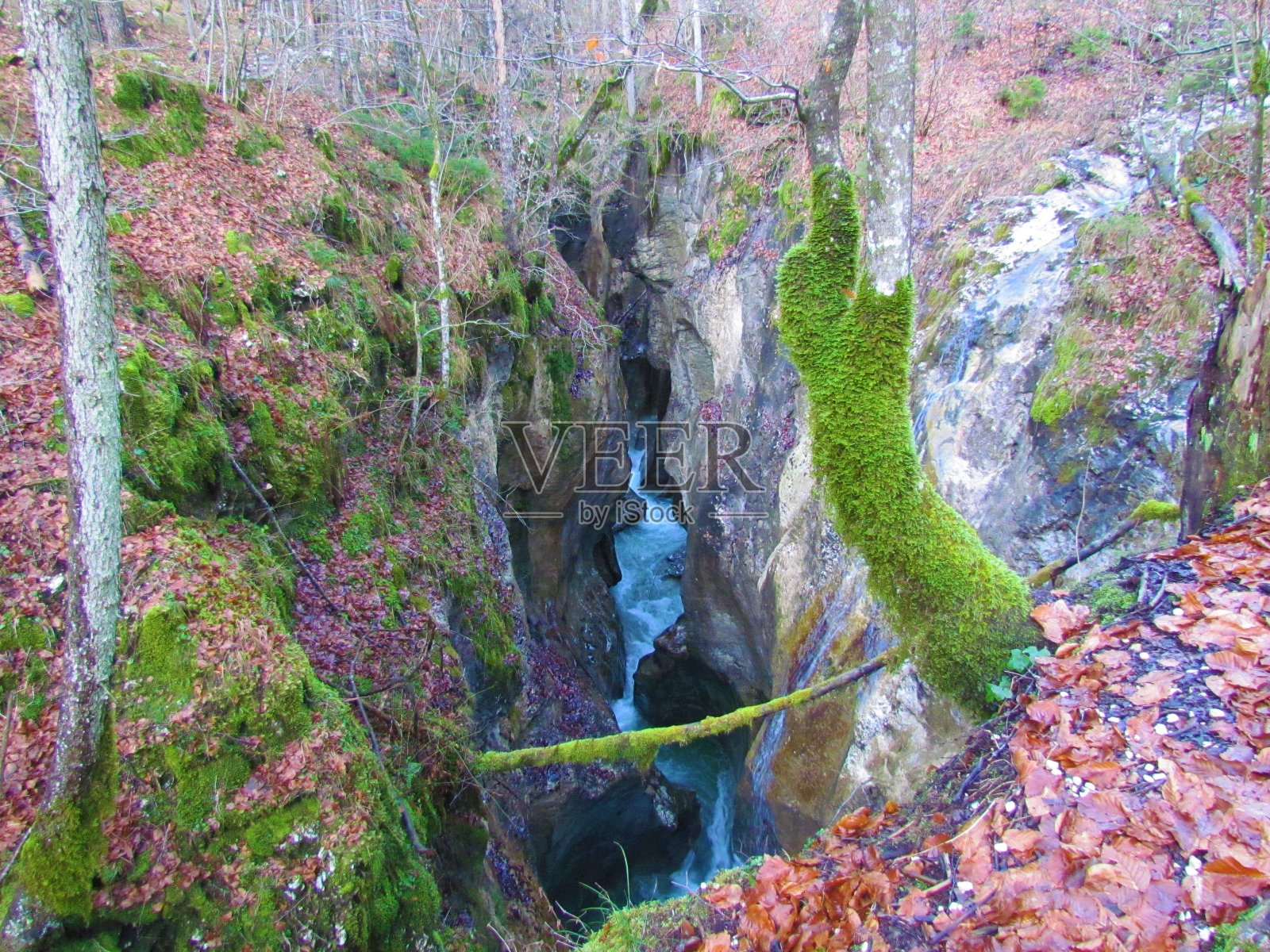 Mostnica流照片摄影图片