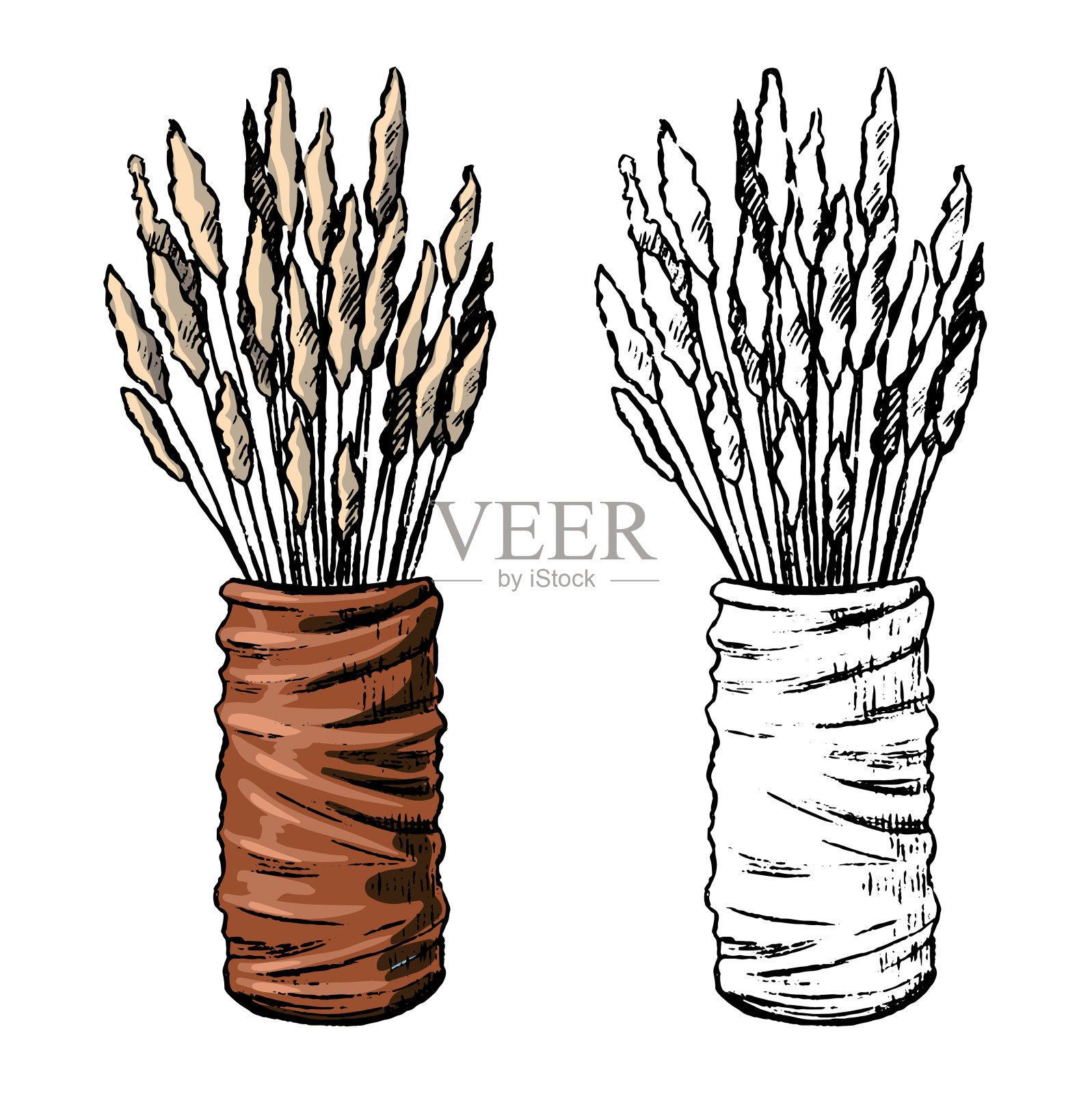 装饰花瓶与植物。手绘矢量插图。一套轮廓和彩色图纸孤立在白色。古董，雕刻，植物素描。设计、制卡、印刷、不干胶等要素插画图片素材