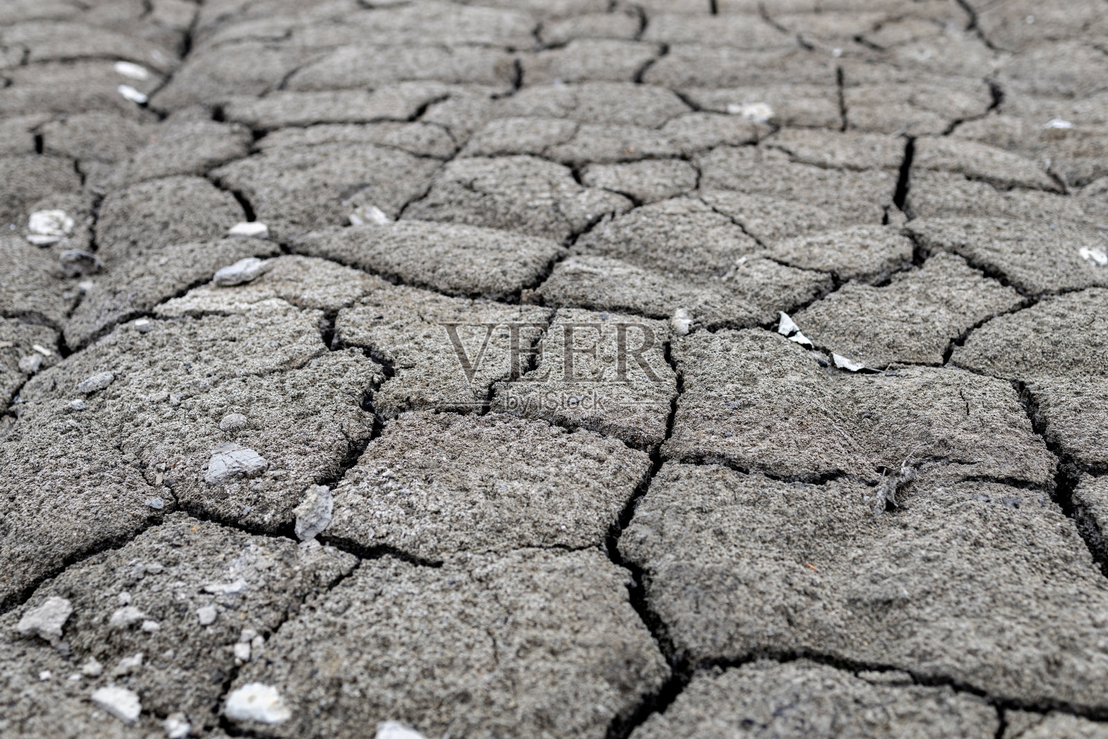 在干燥的夏天，粘土采石场的裂缝土壤照片摄影图片