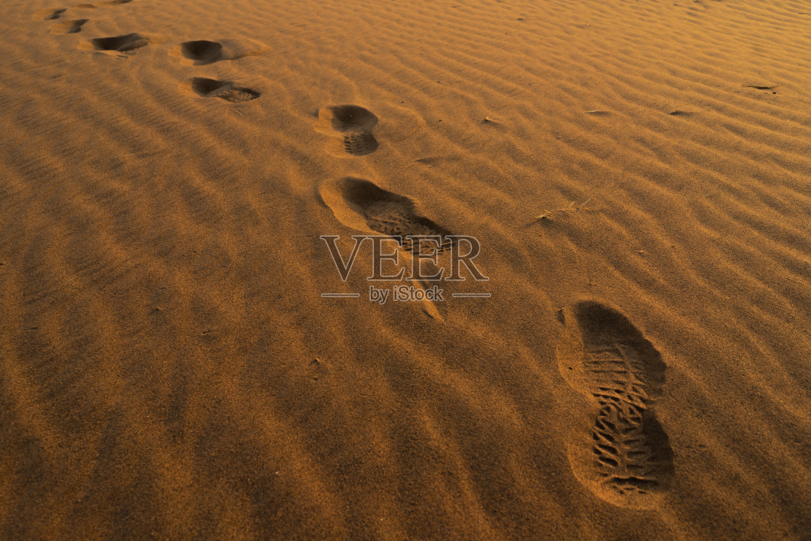 撒哈拉沙漠的脚印照片摄影图片