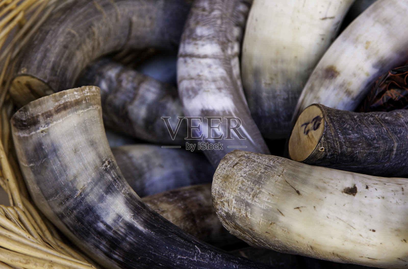 准备和装饰的中世纪号角照片摄影图片