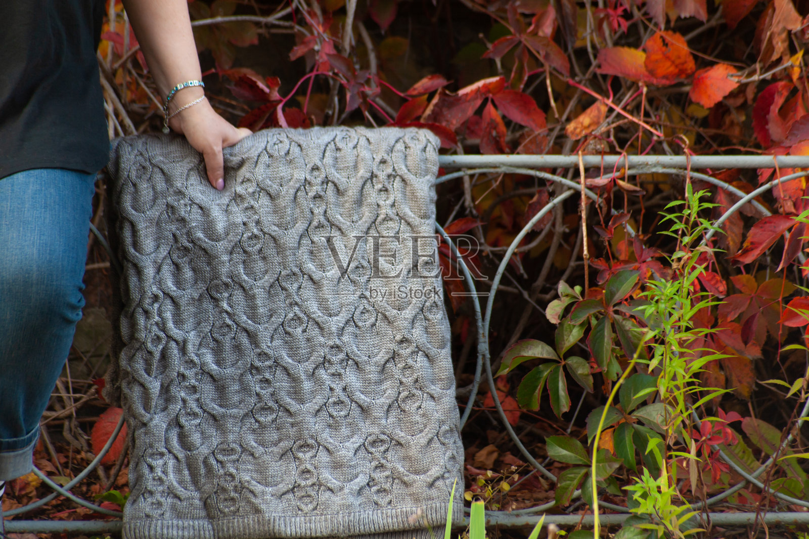 女人的手拿着一条灰色的毯子，那是挂在金属栅栏上的红叶背景照片摄影图片