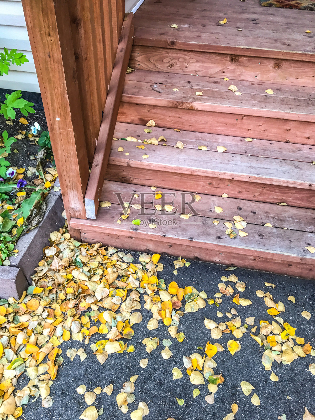 落叶与楼梯照片摄影图片